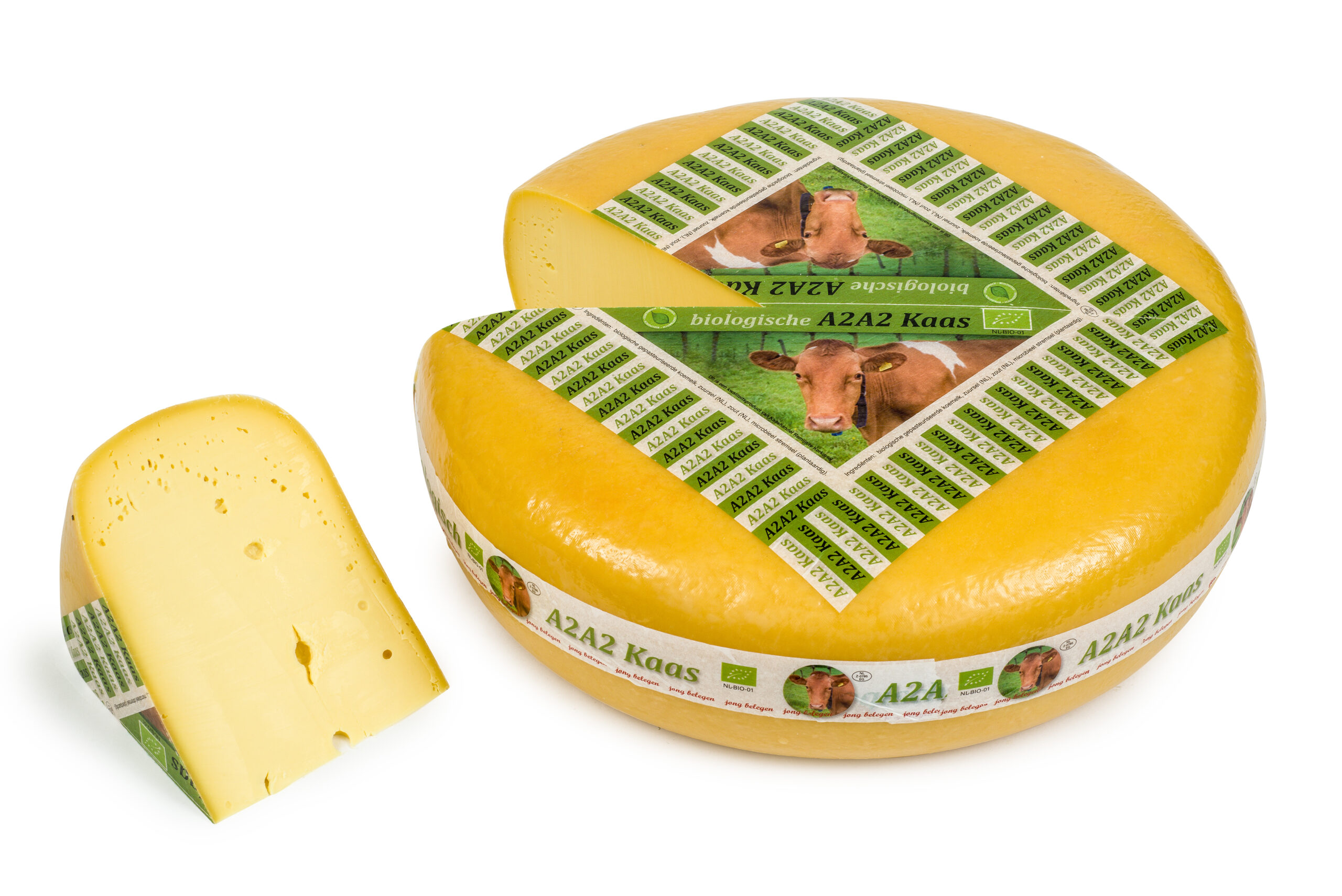 BIO KINDERDIJK A2A2 JONG BELEGEN