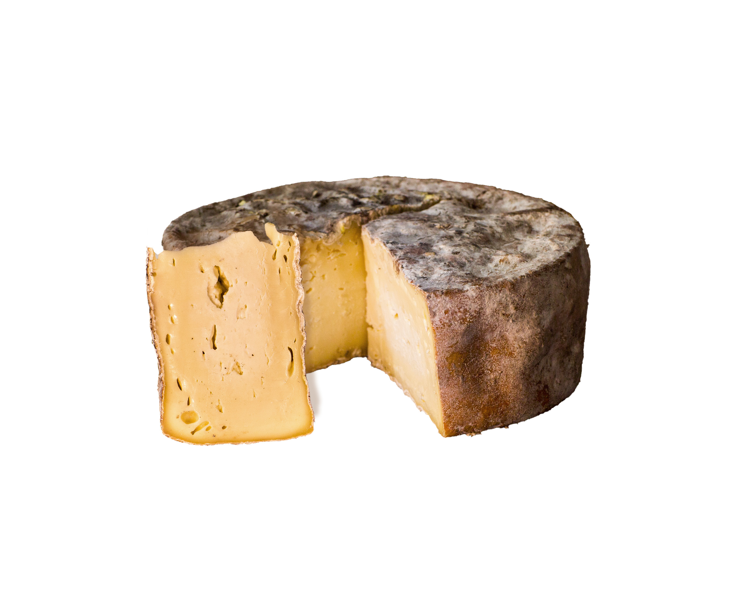 OUDWIJKER TOMA PIETRA